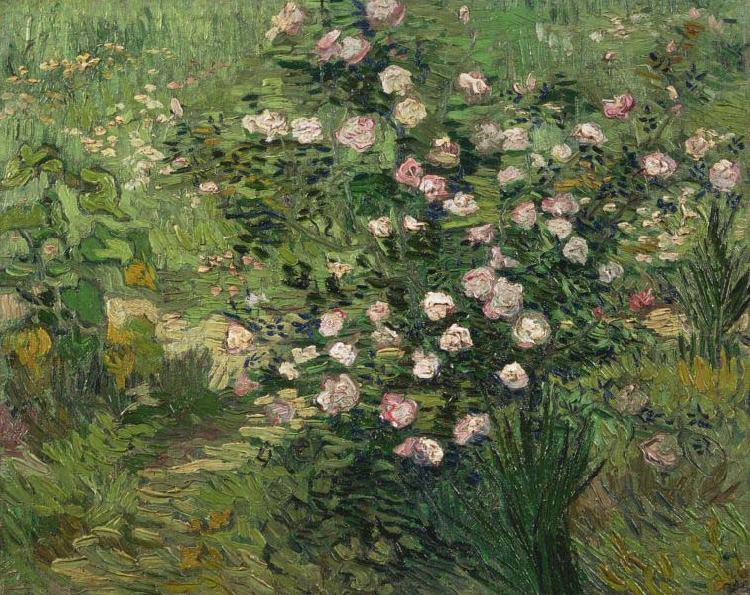 Roses, Vincent Van Gogh